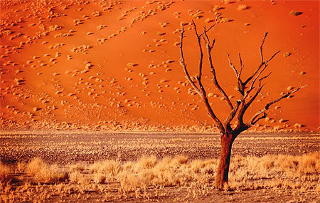 Dune 45.. une autre vue...