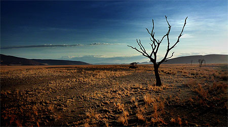Sossusvlei