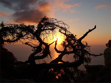 Coucher de soleil au Ch�teau Fort