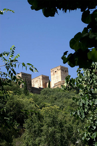 Aper�u des tours de l'Alhambra