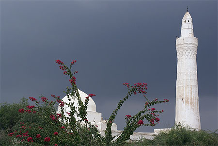 Zabid : mosqu�e al-Iskandaria