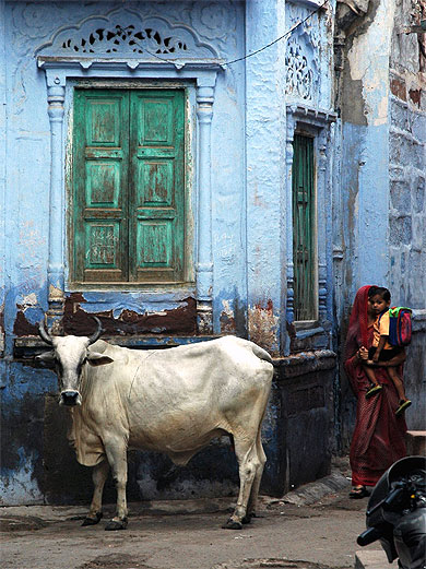 Jodhpur