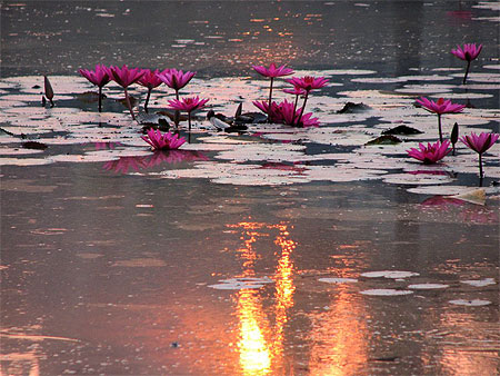 Reflets