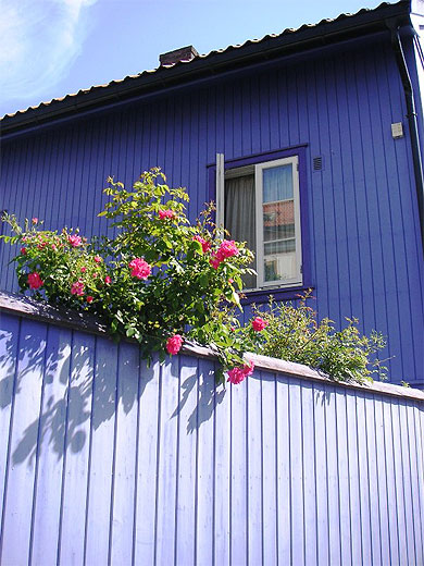 Le quartier de Toyen et ses maisons de couleurs