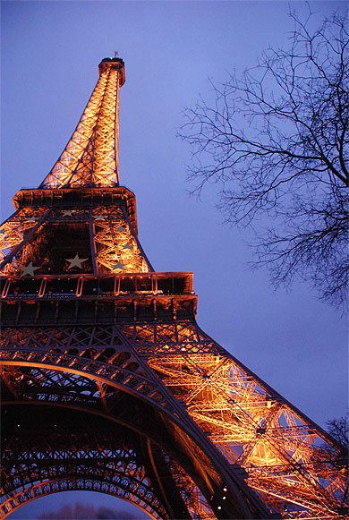 Tour Eiffel illumin�e pour le Nouvel An 2009