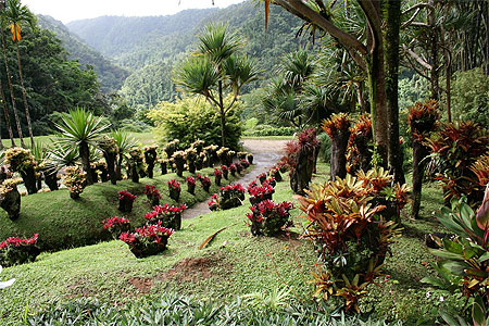 Jardin de Balata
