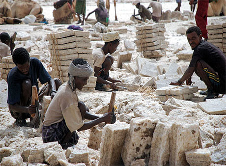 Mineurs de sel 
