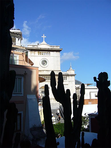 Cactus en ombre chinoise