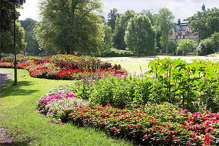 Djurgarden