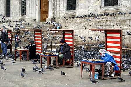 Paradis des pigeons devant la Mosqu�e Neuve