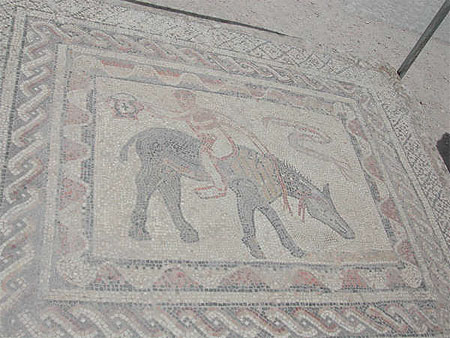 Arc du triomphe volubilis