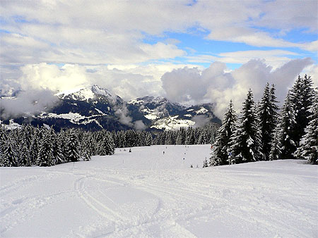 Apr�s une nuit neigeuse, entre Avoriaz et Morzine