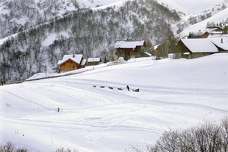Attelage de chiens de tra�neau en promenade dans le village