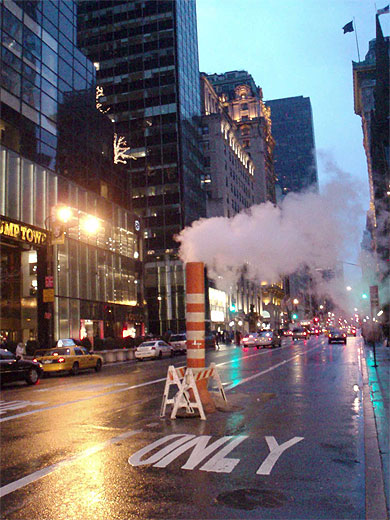 5th avenue