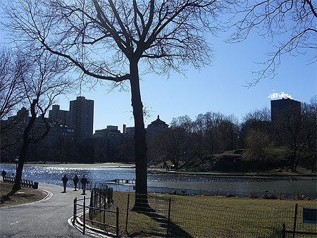 Central park
