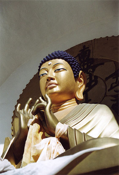 La zenitude