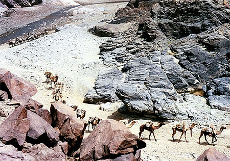 Caravane de sel