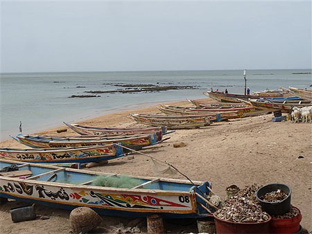 Saly