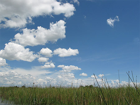 Sur le delta de l'okavango