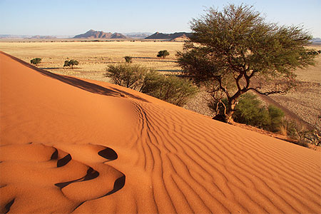 Dune d'ocre � Sesriem