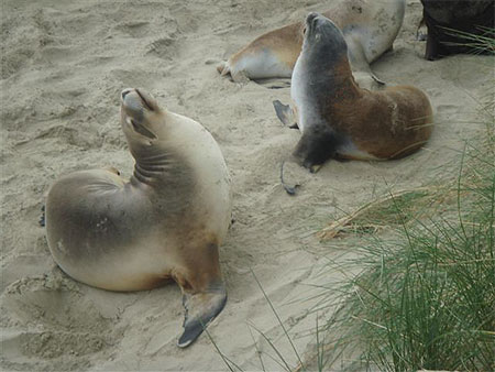 Jeux de plage...