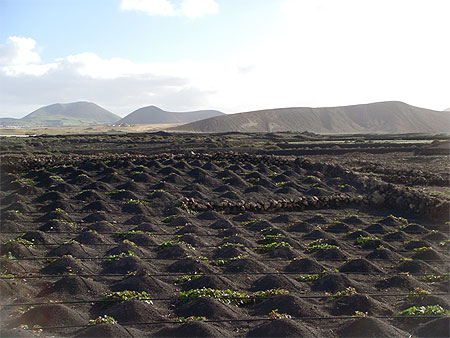 Au pied des volcans de Timanfaya