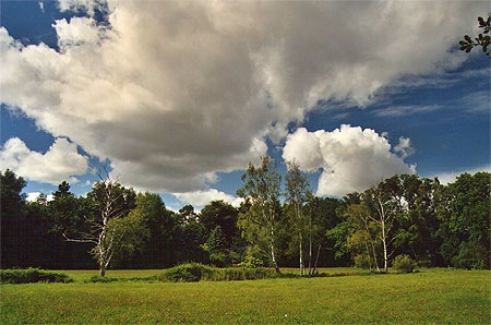 Lande de L�neburg
