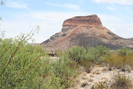 D�sert de Big Bend