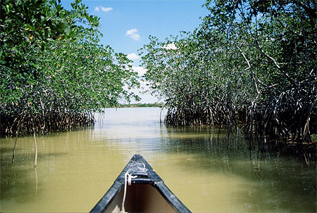 Everglades Boat