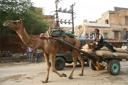 Jaipur