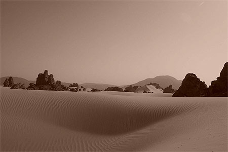 Dune