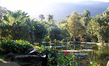 Jardin botanique
