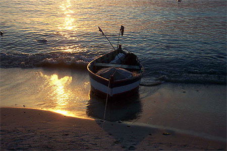 Barque