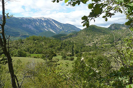 Le Mont Ventoux vu de Brantes