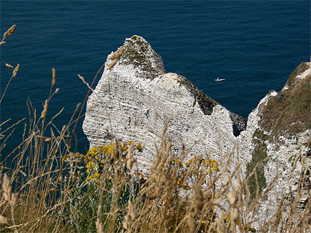 Falaises d'Etretat
