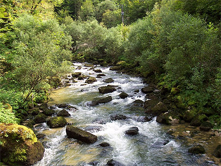 Gorges du Flumen