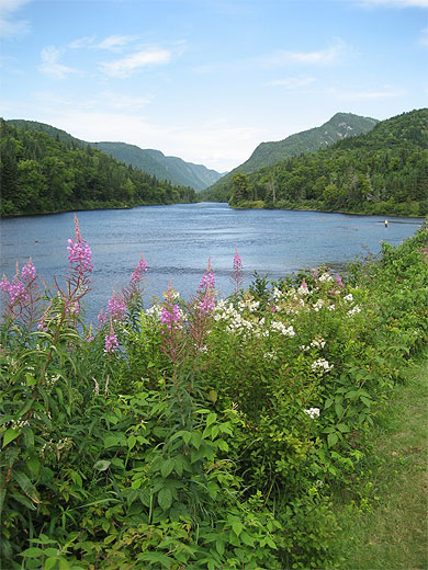 Rivi�re Jacques-Cartier