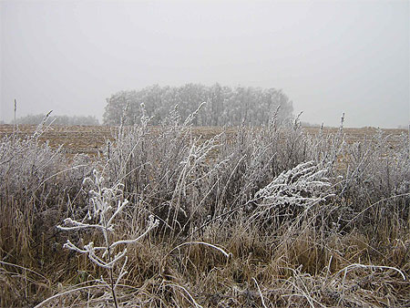Winter