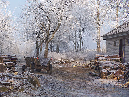 Winter