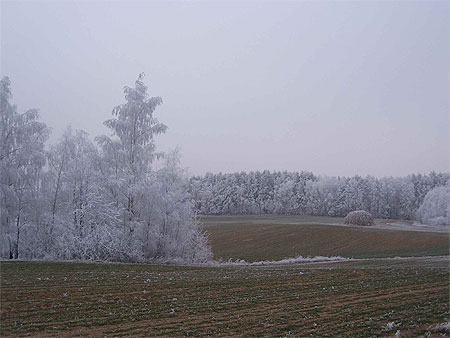 Winter