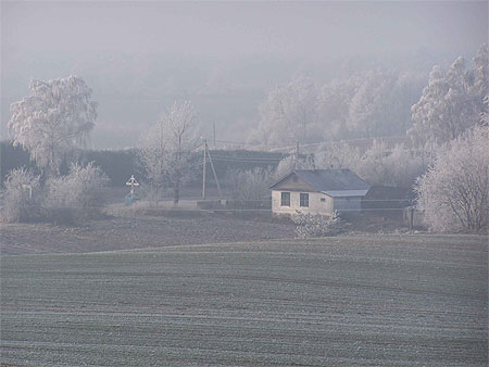 Winter