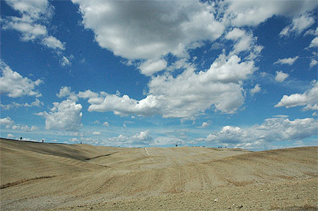 Et� en Val d'Orcia
