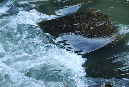 L'eau limpide du Dessoubre