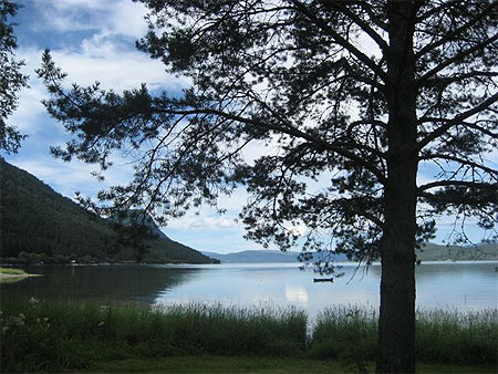 Au r�veil, au bord d'un fjord