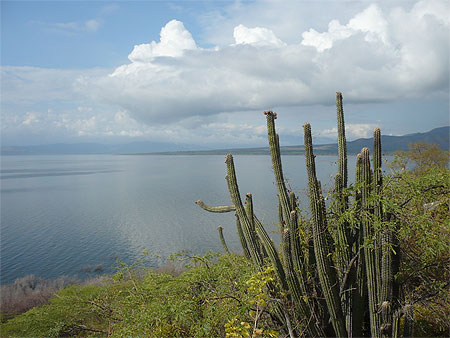 Vue sur le Lac Enriquillo
