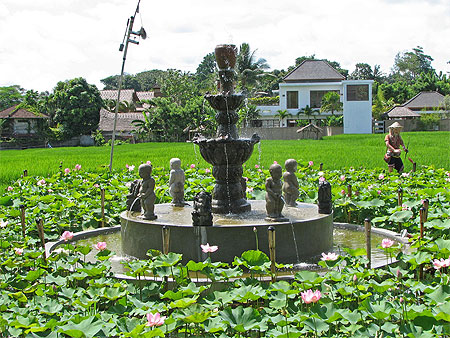 Fontaine et fleurs de lotus � Ubud