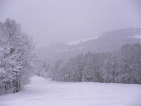 Neige sur La Bresse Hohneck