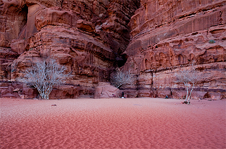 Entr�e d'un canyon dans le Wadi Rum