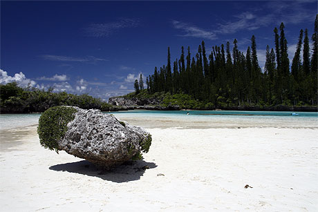 Piscine naturelle