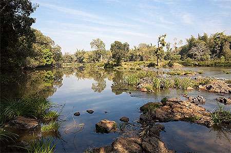 Cauvery River